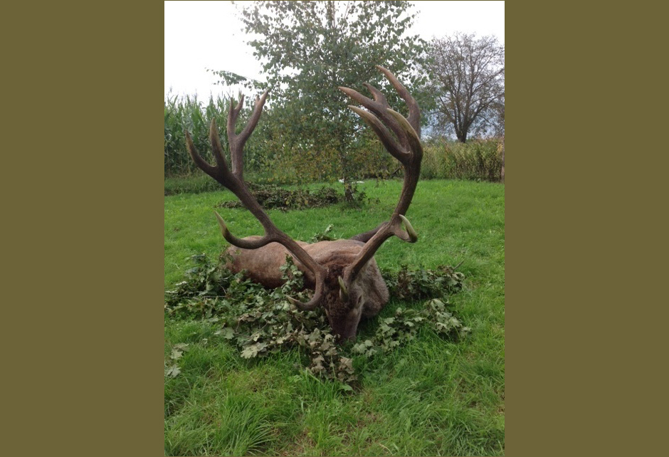 Hunt 8