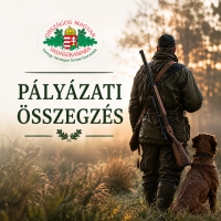 Sikeres p&aacute;ly&aacute;zatok