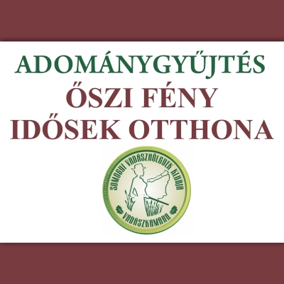 Adománygyűjtés