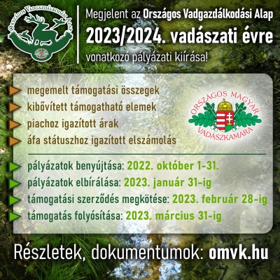 Pályázati kiírás