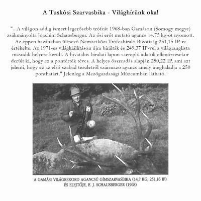MEGHÍVÓ