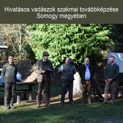 Továbbképzés