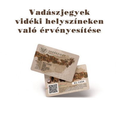 Kihelyezett érvényesítés