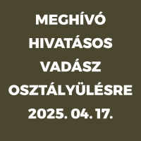 Meghívó