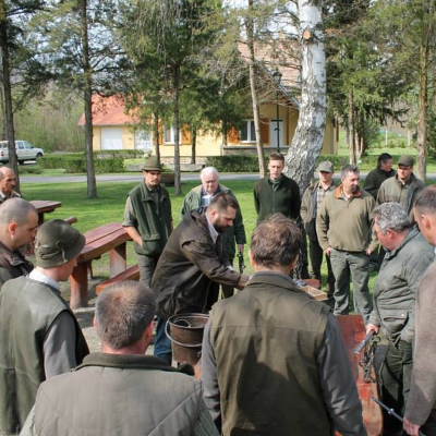 Beszámoló az elmúlt időszakban végzett munkáról 2014. I. név.