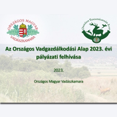 Pályázati felhívás