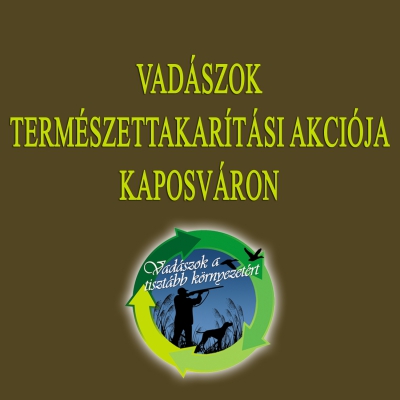 Felhívás
