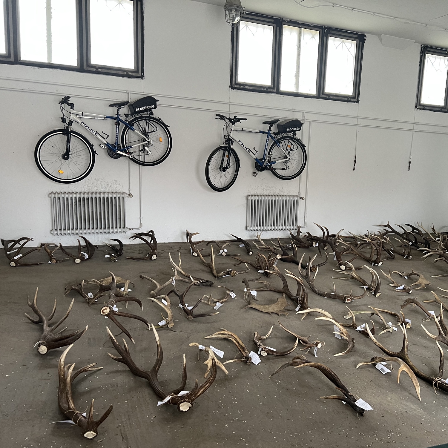 Agancsgyűjt&eacute;si tilalom