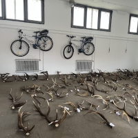 Agancsgyűjt&eacute;si tilalom