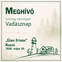 VAD&Aacute;SZNAP