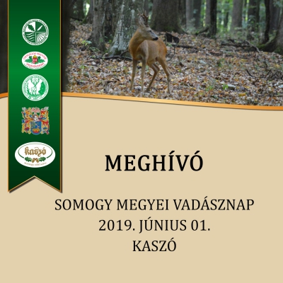 Meghívó