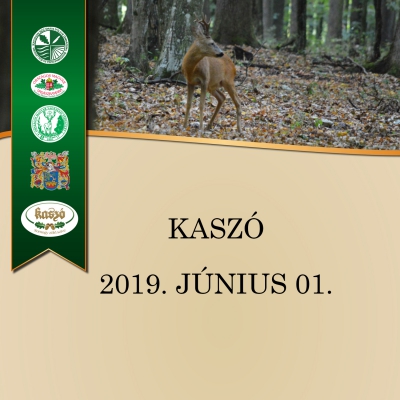 Felhívás főzőversenyre