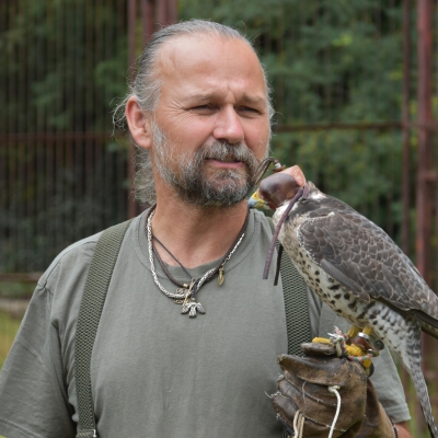 Solymászati körkép