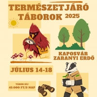 Napközis tábor