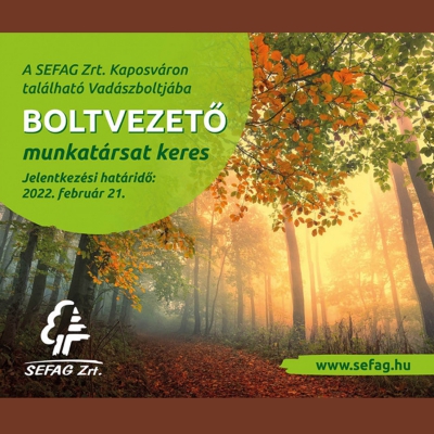 Munkatársat keresünk!