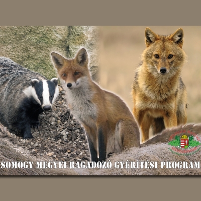 Dúvadgyérítési hét