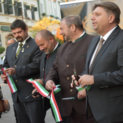 Ünnepélyes megnyitó