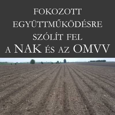 Felhívás